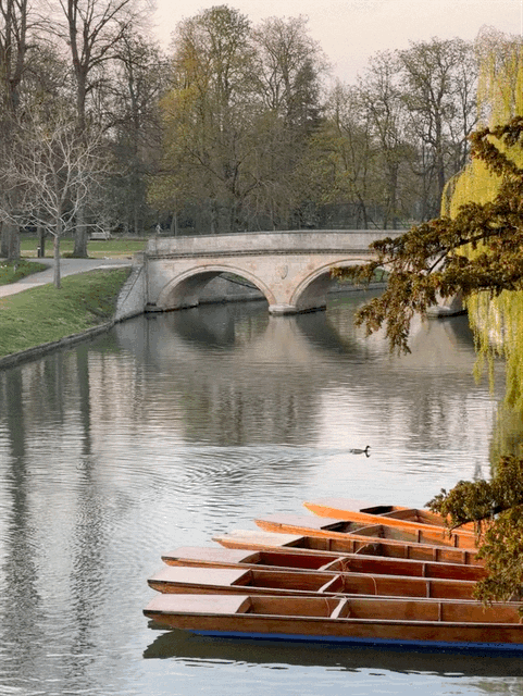 River Cam, Cambridge, Brücke, Punting